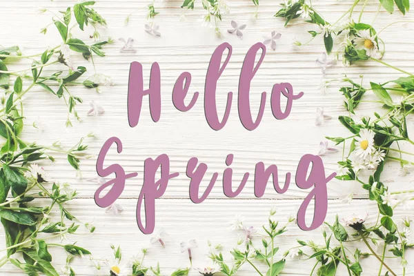 Hello Spring Text Tender Daisies Lilac Flowers White Wooden Background — Stock Photo, Image