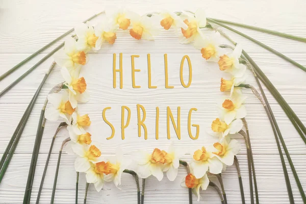 Hello Spring Text Flat Lay Beautiful Yellow Daffodils Soft Light — Stock Photo, Image