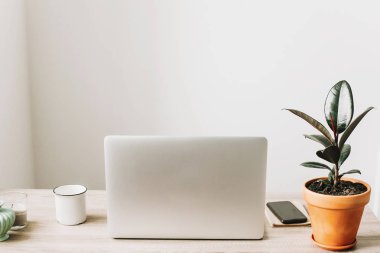 Serbest kavramı. Masaüstü ile dizüstü bilgisayar, telefon, defter, kahve fincanı ve bitki.