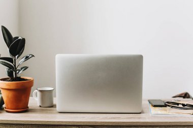 Serbest kavramı. Masaüstü ile dizüstü bilgisayar, telefon, defter, kahve fincanı ve bitki.