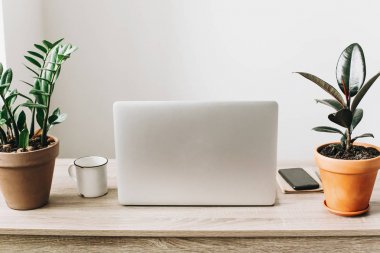 Serbest kavramı. Masaüstü ile dizüstü bilgisayar, telefon, defter, kahve fincanı ve bitkiler