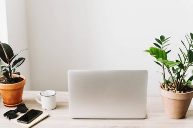 Serbest kavramı. Masaüstü ile dizüstü bilgisayar, telefon, defter, kahve fincanı ve bitkiler