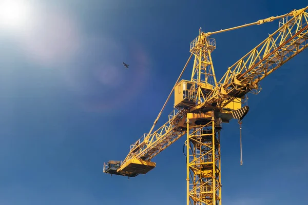 Torre Guindaste Construção Raios Luz Solar Fundo Céu Azul Guindaste — Fotografia de Stock