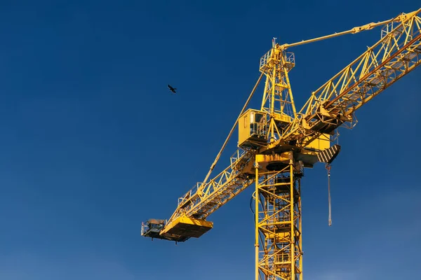 Konstruksjonstårn Flygende Fugl Bakgrunn Blå Himmel Kran Byggearbeider Byggeplassen Gul – stockfoto