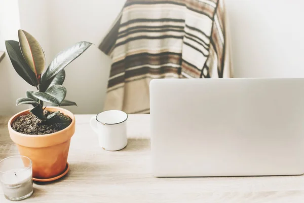 Concepto Independiente Escritorio Con Portátil Portátil Taza Café Planta Espacio — Foto de Stock