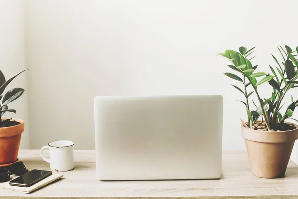 Laptop Área Trabalho Madeira Com Telefone Notebook Xícara Café Plantas — Fotografia de Stock