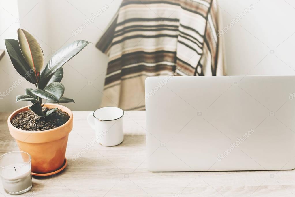 Freelance concept. Desktop with laptop,  notebook, coffee cup and plant. business workspace with tools on wooden table.