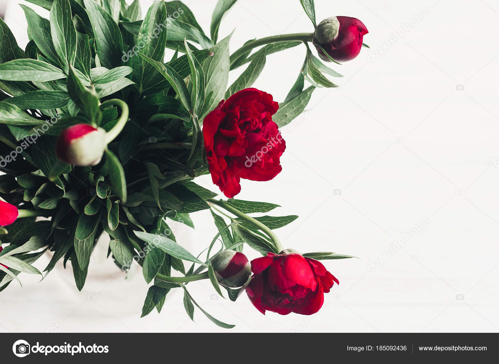 Poser Belles Pivoines Rouges Fleur Bouquet Sur Fond Blanc