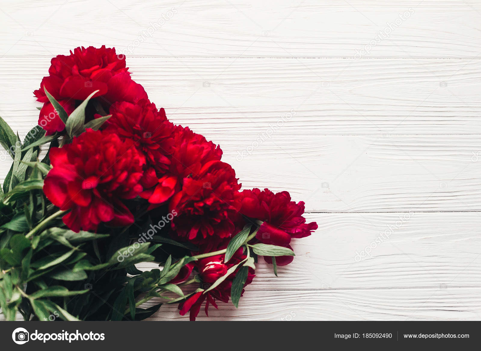 Poser Belles Pivoines Rouges Fleur Bouquet Sur Fond Blanc