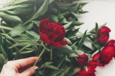 Bayan günü tebrik kartı güzel kırmızı Şakayık ahşap rustik arka plan üzerinde tutan el ile. Boho çiçek resim