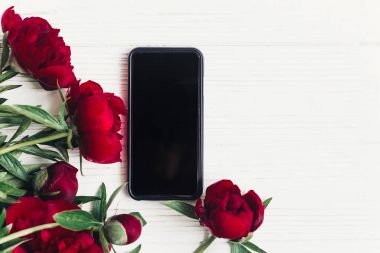 boş ekran ve güzel kırmızı peonies kopya alanı Beyaz ahşap zemin üzerine sahip