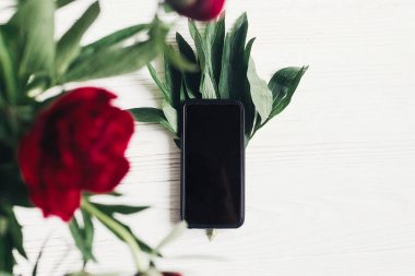 boş ekran ve güzel kırmızı peonies kopya alanı Beyaz ahşap zemin üzerine sahip