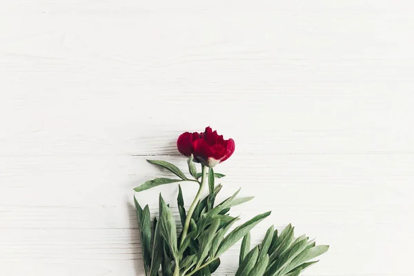 Концепція Квіткової Вітальні Красива Червона Півонія Білому Сільському Фоні Вид — стокове фото