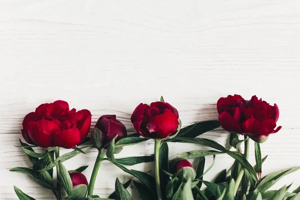 Beautiful Red Peonies Blooming Bouquet White Wooden Background Flat Lay — Stock Photo, Image