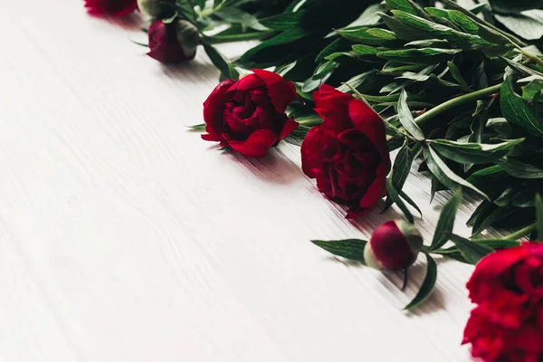 Floral Greeting Card Concept Blooming Red Peonies White Wooden Background — Stock Photo, Image