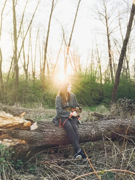 Menina Hipster Com Casulo Maine Sentado Árvore Pôr Sol Luz — Fotografia de Stock