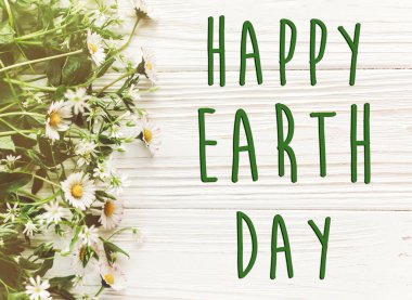 mutlu Dünya Günü metin güzel papatya çiçekleri beyaz rustik ahşap arka plan üstten görünüm üzerinde oturum. tebrik kartı. çevre kavramı. Dünya günü. çevreyi kurtarmak. Eko