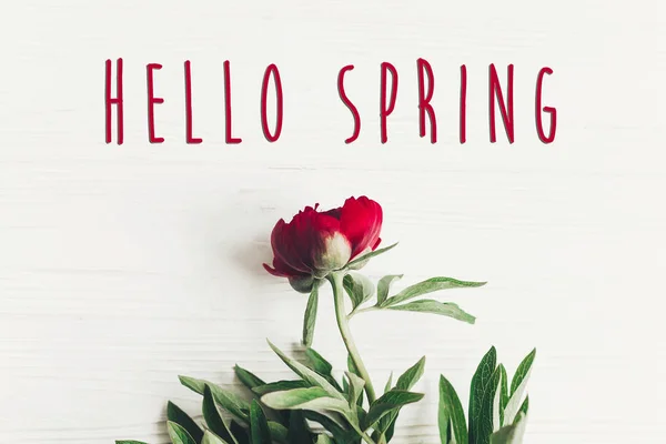 Hello Spring Text Sign Beautiful Red Peonies Blooming White Wooden — стоковое фото