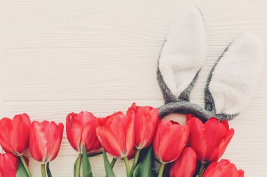tavşan kulakları ve şık Pembe Lale düz beyaz ahşap zemin üzerinde yatıyordu. metin için yer. yaratıcı bahar easter görüntü. Mutlu Paskalya kavramı