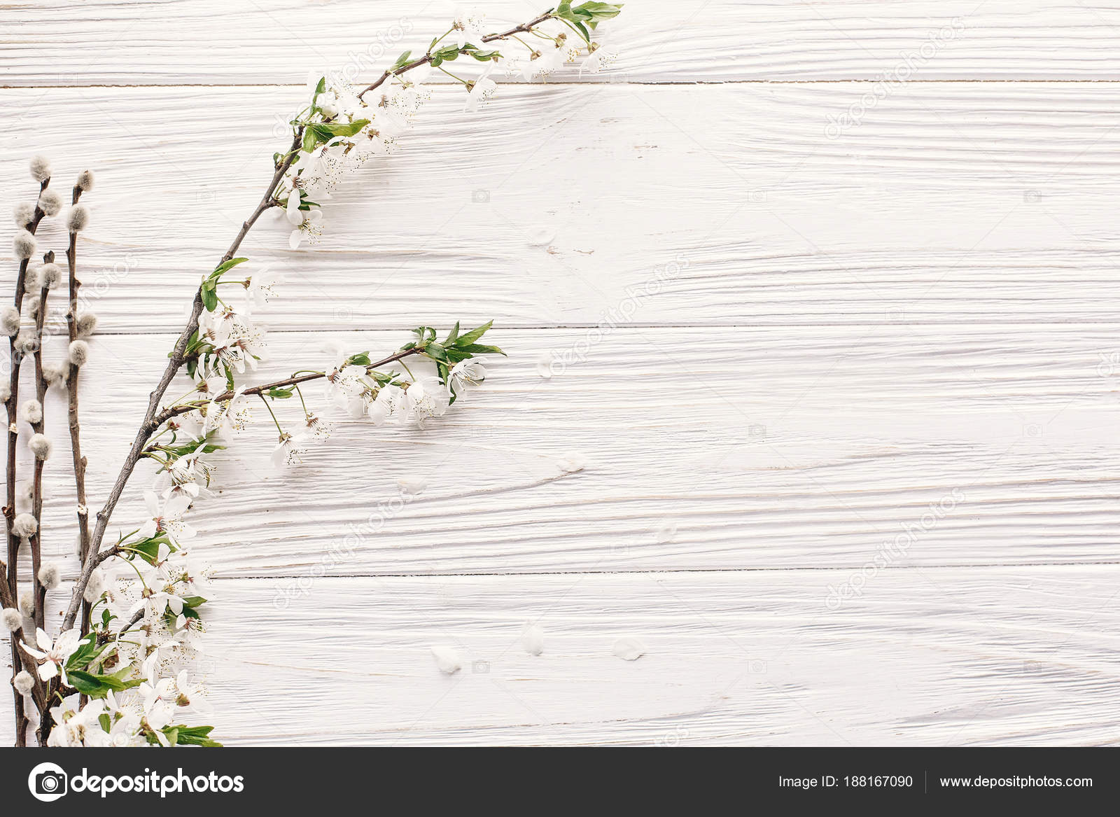 Beautiful Fresh Cherry Branches White Flowers Rustic Wooden Background Top  Stock Photo by ©Sonyachny 188167090
