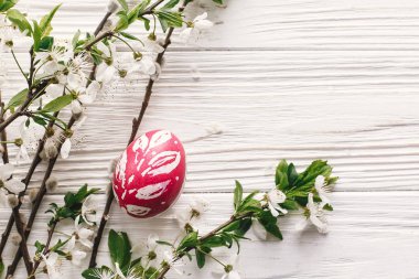 şık Paskalya düz yatıyordu. rustik ahşap arka plan bahar çiçekleri ve Söğüt dalları ile boyalı yumurta. Mutlu Paskalya tebrik kartı. metin için yer. Modern renkli Paskalya yumurtaları