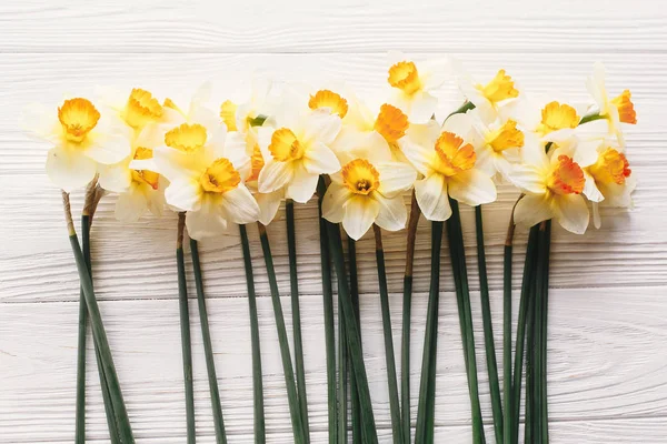 Krásné Čerstvé Narcisy Bílém Pozadí Dřevěný Pohled Shora Ahoj Jaro — Stock fotografie