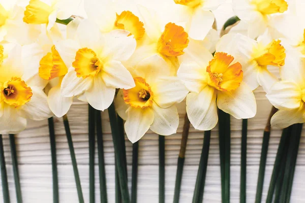 白い木製の背景に光で美しい新鮮な水仙平面図です 素朴な木材フラットに明るい黄色の花とこんにちはに春の画像を置きます 花のグリーティング カード — ストック写真