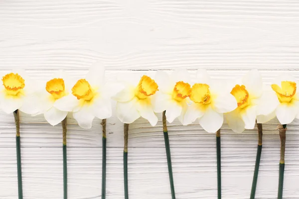 美丽的新鲜的水仙花白色木质背景的顶部视图 您好春天的图像与明亮的黄色花在质朴的木材与空间的文本 花卉贺卡 — 图库照片