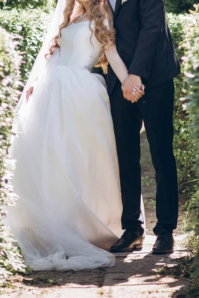 드레스에 결혼식에 햇볕이 정원에서 포옹에 신랑의 럭셔리 낭만주의 — 스톡 사진