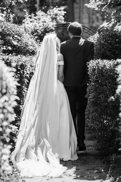 日当たりの良い庭で結婚式の日に歩くスーツにシルクのドレス新郎のスタイリッシュな花嫁 結婚式のカップル 幸せな新婚夫婦家族の贅沢 ロマンチックな瞬間 黒の白の写真 — ストック写真