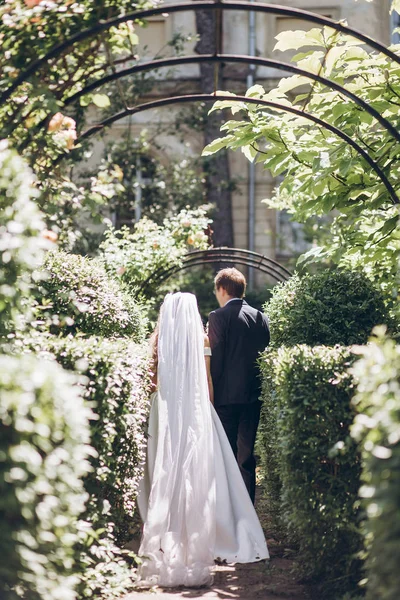 日当たりの良い庭で結婚式の日に歩くスーツにシルクのドレス新郎のスタイリッシュな花嫁 結婚式のカップル 幸せな新婚夫婦家族の贅沢 ロマンチックな瞬間 — ストック写真