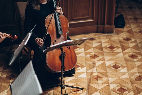 Elegant String Quartet Performing Luxury Room Wedding Reception Restaurant Woman Royalty Free Stock Images