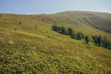 güzel dağlar hill manzara mavi gökyüzü ve bulutlar. çim, çiçekler, ağaçlar harika manzaraya Dağı'nda. seyahat ve Yolculuk tutkusu kavramı.