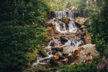 güzel şelale orman dağlarında Nehri üzerinde. Cascades nehir su hareketi ve kayalar ile. güzel manzara manzara nehir yaz güneş ışığı altında ormanda. şaşırtıcı rainforest duvar kağıdı
