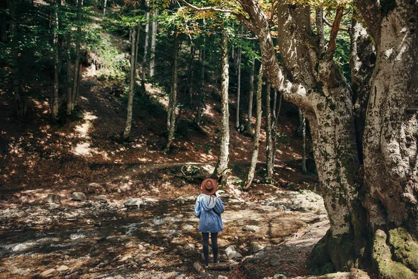 Zomervakantie Reizen Wanderlust Concept Stijlvolle Reiziger Meisje Hoed Onder Bomen — Stockfoto