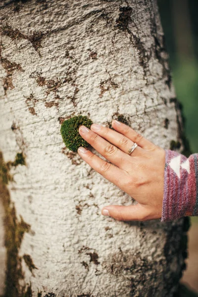 Stylish Traveler Girl Holding Hand Birch Bark Sunny Forest Mountains — Stock Photo, Image