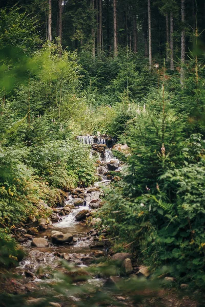숲에서 폭포입니다 산에서 흐르는 보호입니다 신선한 아름다움 — 스톡 사진