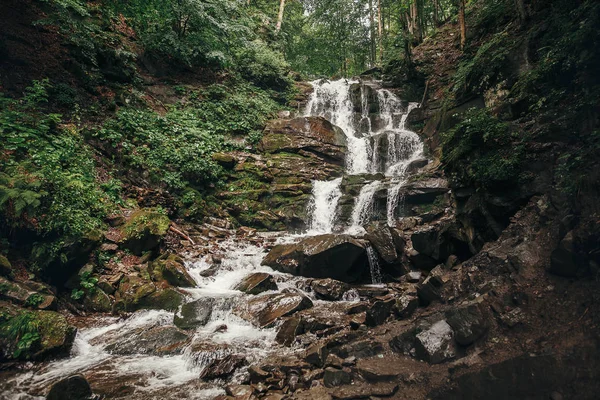güzel şelale orman dağlarında Nehri üzerinde. Cascades nehir su hareketi ve kayalar ile. güzel manzara manzara nehir yaz güneş ışığı altında ormanda. yağmur ormanları duvar kağıdı