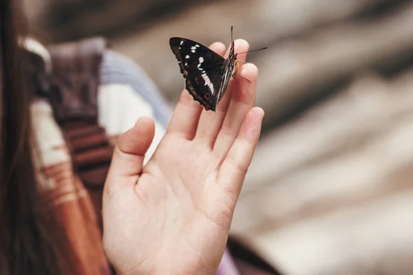 Schöner Schmetterling Auf Mädchenhand Stylische Glückliche Frau Die Wald Den — Stockfoto