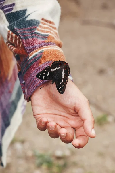 女の子の手に美しい蝶 スタイリッシュな幸せな女山林における指 Apatura 虹彩を保持しています 旅と放浪癖の概念 テキストのためのスペース 素晴らしい瞬間 ウクライナの昆虫 — ストック写真