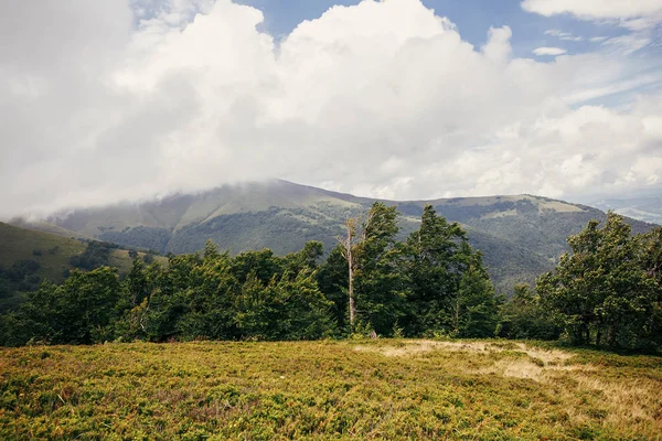 美丽的山与树在阳光明媚的山 山水山水在清晨的晨光中 带着云彩 夏季旅游 — 图库照片