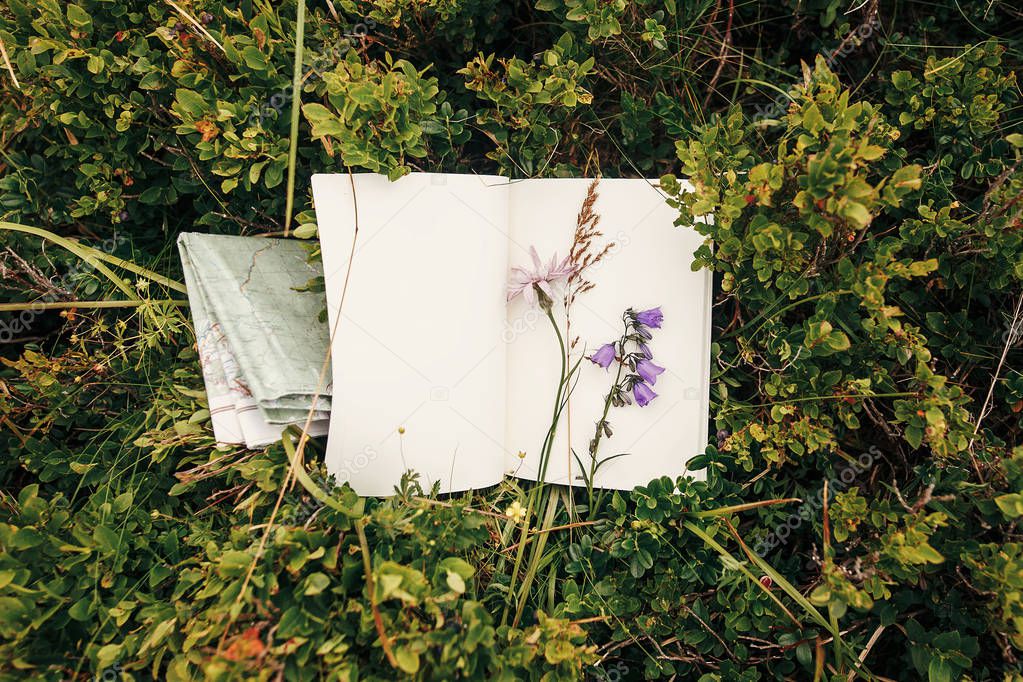 beautiful bellflower and wildflowers on paper notebook on blueberries bushes on sunny hills of mountains, top view. hipster gathering wildflowers and herbs for herbarium