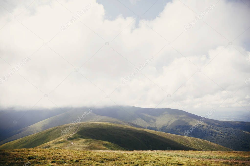 beautiful hill  in foggy sunny mountains. scenery landscape of hills in the morning light, with clouds. summer travel and wanderlust. carpathians mountains
