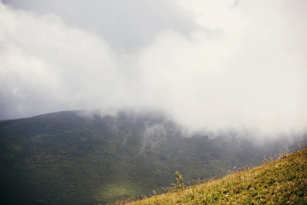 美しい丘の霧深い雲の日当たりの良い山地の草 朝の光 雲の丘の景色を風景 夏の旅行 — ストック写真