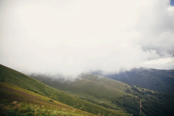 美しい丘の霧深い雲と霧 日当たりの良い山の草 朝の光 雲の丘の景色を風景 夏の旅行 — ストック写真