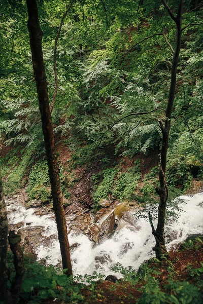 숲에서 폭포입니다 산에서 흐르는 보호입니다 신선한 아름다움 — 스톡 사진