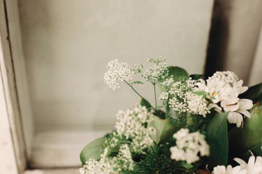 ışık ışık beyaz rustik ahşap pencere, metin için yer, anason ve papatya buketi. 