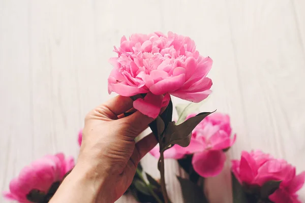 手捧可爱的粉红色牡丹花在质朴的白色木质背景上 — 图库照片