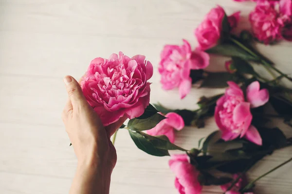 Вид Сверху Руку Прекрасным Розовым Цветком Пиона Деревенском Белом Деревянном — стоковое фото