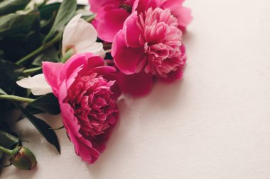 güzel pembe peonies rustik Beyaz ahşap arka planda metin için yer.  